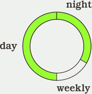 day, night, weekly