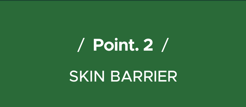 / Point. 2 / SKIN BARRIER