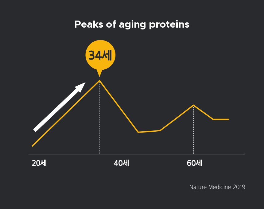 peaks of aging proteins - (인간의 노화 그래프) 20세부터 그래프 상승, 34세에 가장 정점 / Nature Medicine 2019