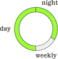 제품 사용 그래프 : day, night, weekly 중 day, night 사용