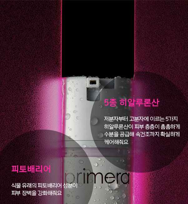 프리메라 맨 인더핑크의 주요 성분