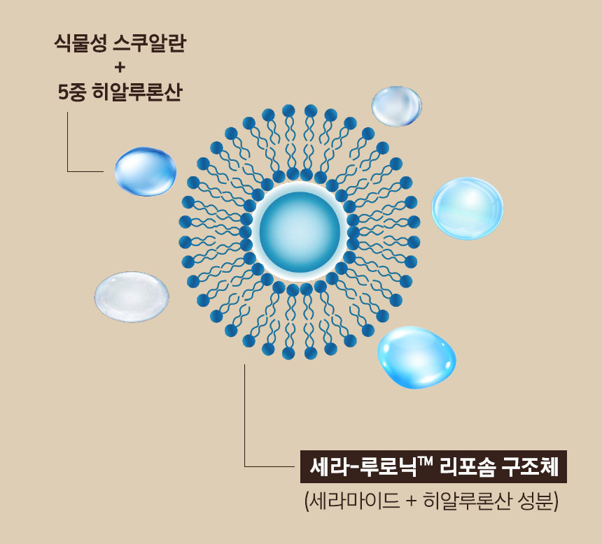 식물성 스쿠알란 + 5중 히알루론산 / 세라-루로닉™ 리포솜 구조체(세라마이드 + 히알루론산 성분)
