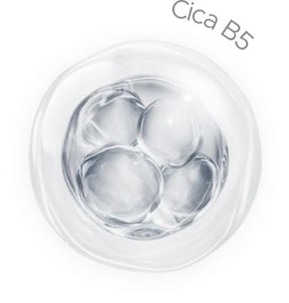 시카 B5