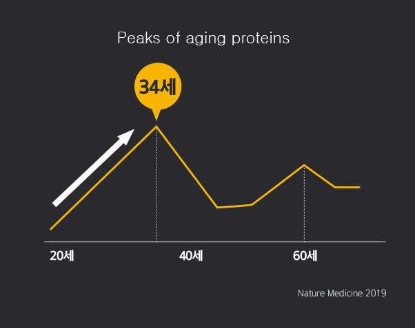 20~60세 중 peaks of aging proteins 34세 / Nature Medicine 2019