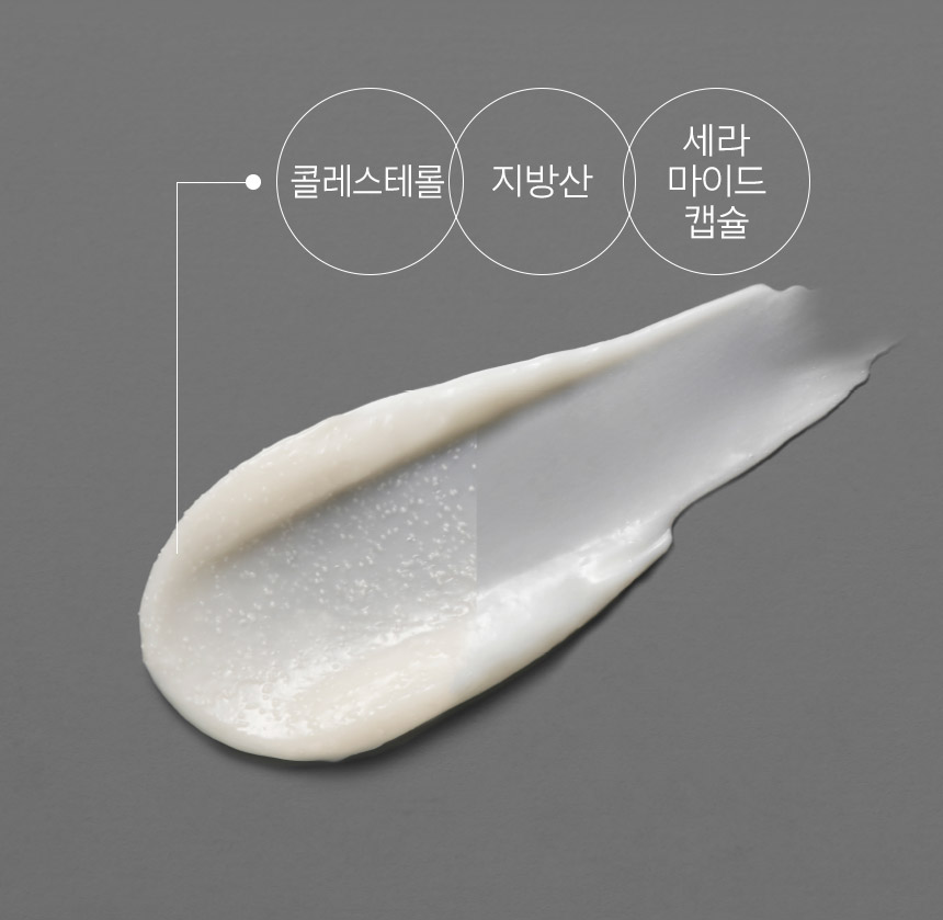 콜레스테롤 지방산 세라마이드캡슐